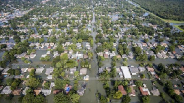 Image d'illustration