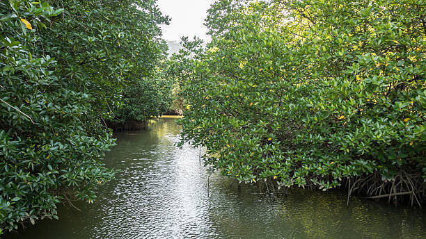 Image d'illustration