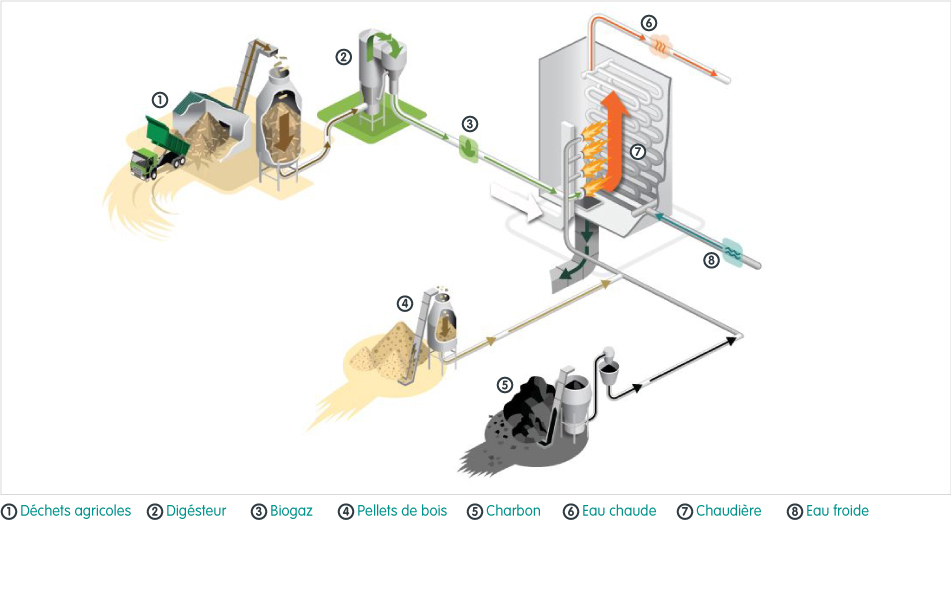 Image d'illustration