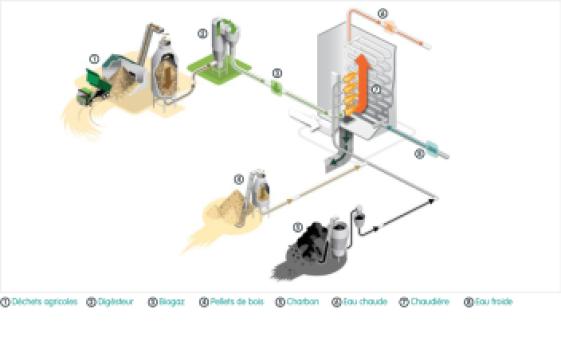 Image d'illustration