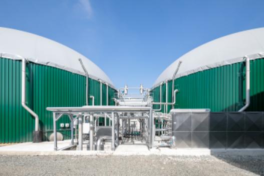 Image d'illustration