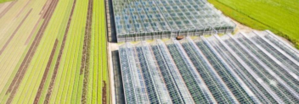 Image d'illustration