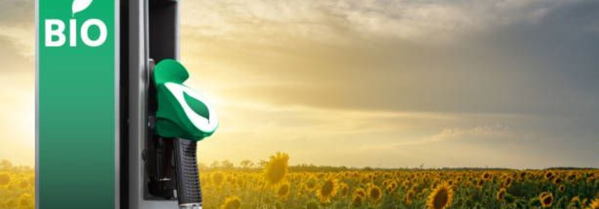 Image d'illustration