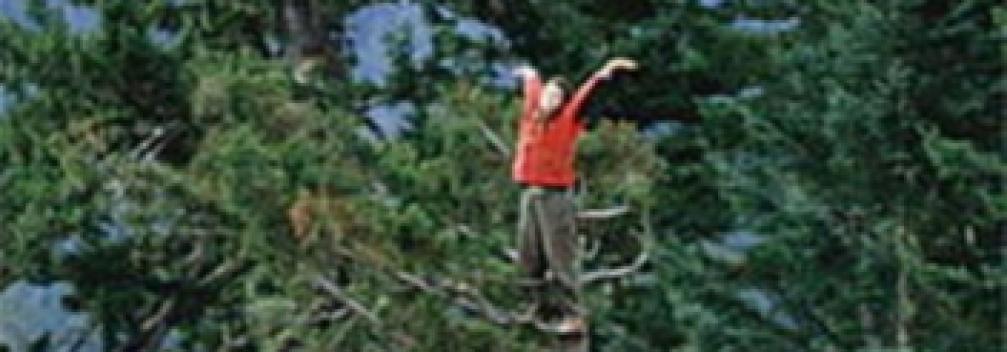 Image d'illustration