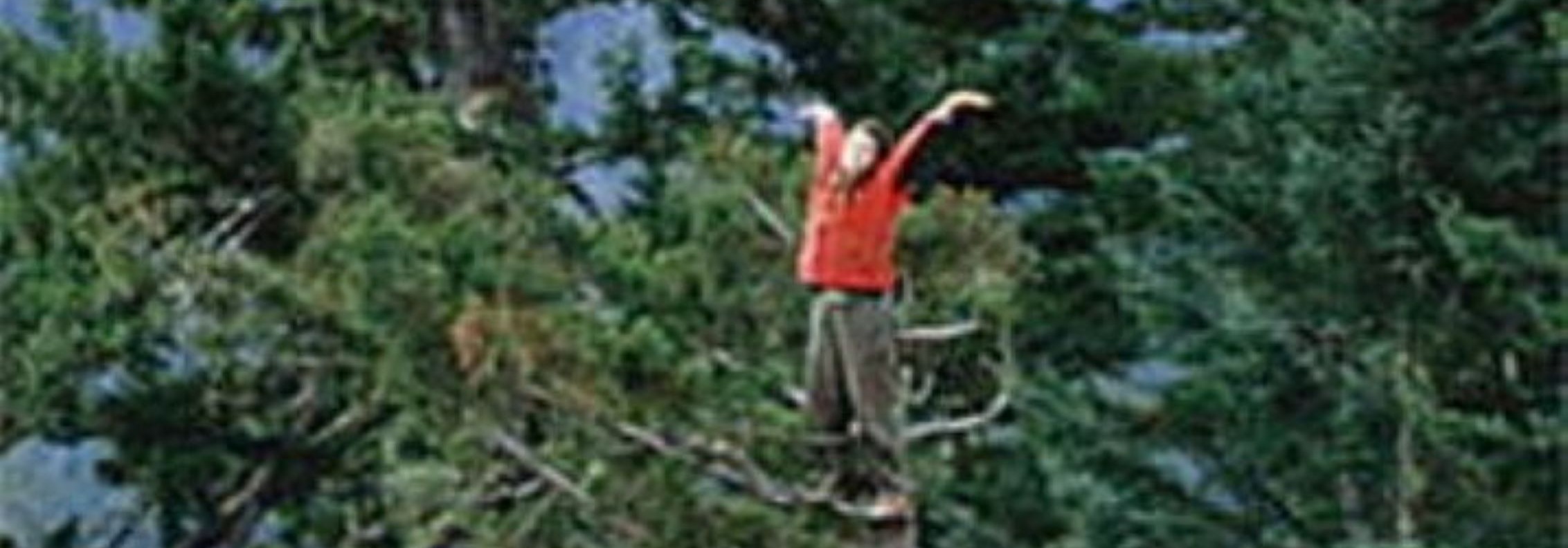 Image d'illustration