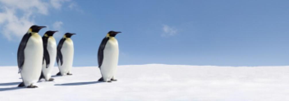 Image d'illustration