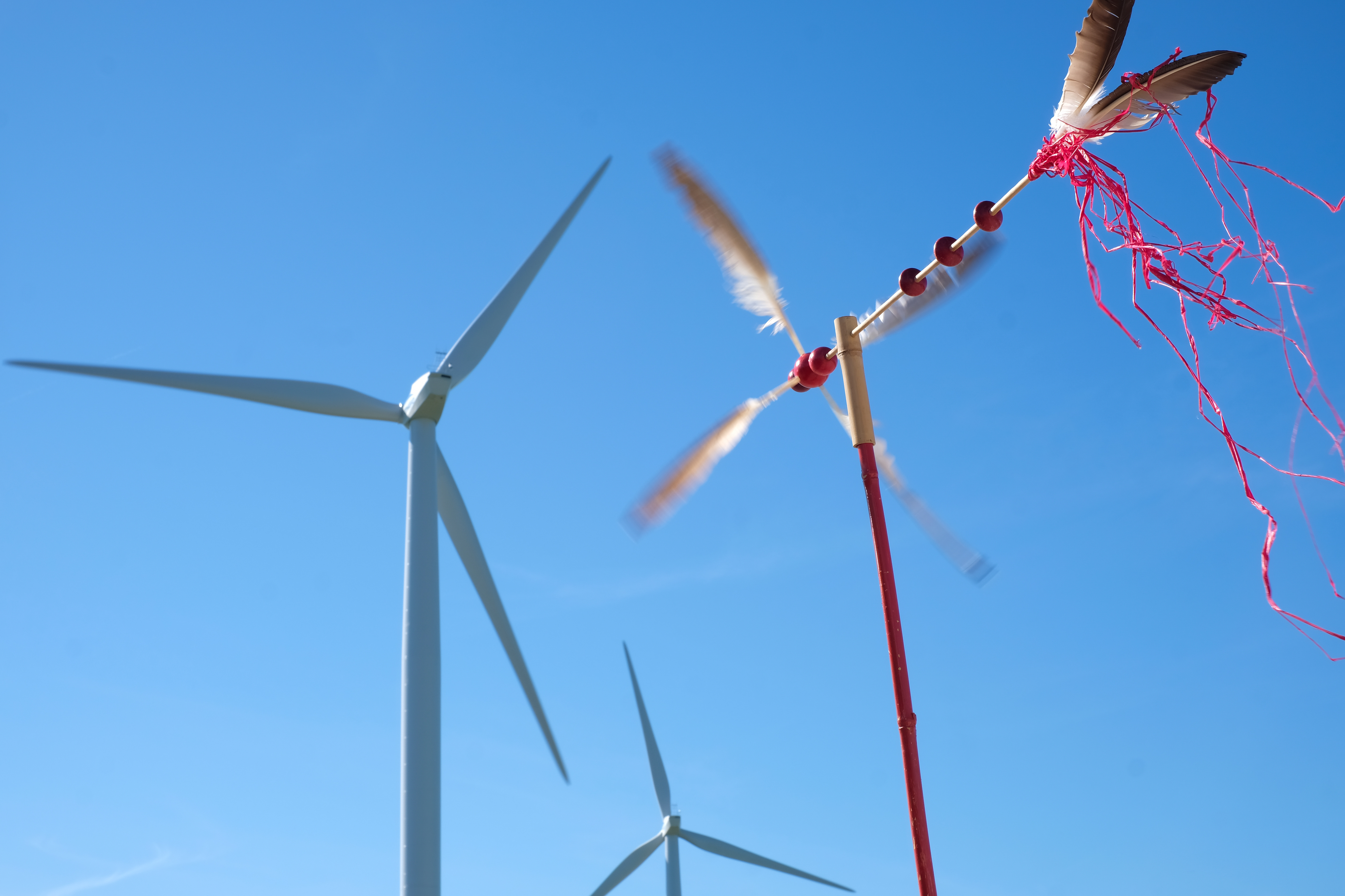 Image d'illustration